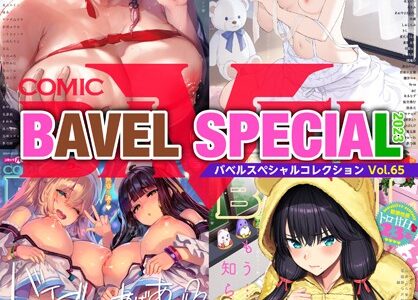 COMIC BAVEL SPECIAL COLLECTION（コミックバベル スペシャルコレクション）VOL65