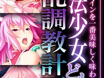 魔法少女どもの淫乱調教計画！！ 〜正義のヒロインを一番美味しく味わう方法〜【CG集コレクション ミニ】