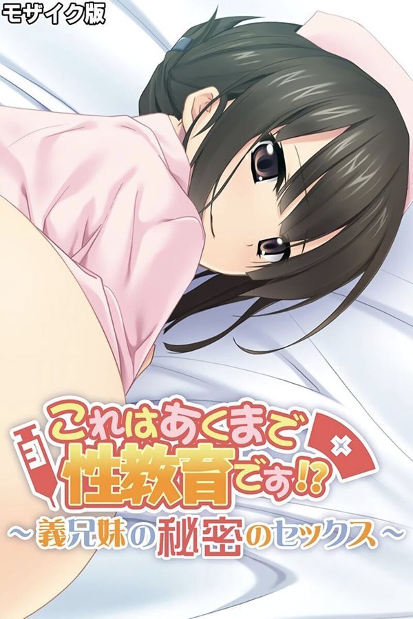 これはあくまで性教育です！？ 〜義兄妹の秘密のセックス〜 モザイク版 エロ画像 001