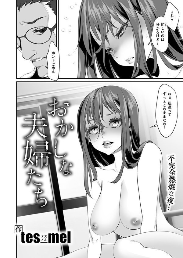 おかしな夫婦たち（単話） エロ画像 004