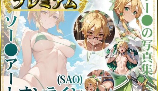 【ソー〇アートオンライン（SAO）】リー〇ァの写真集 プレミアム