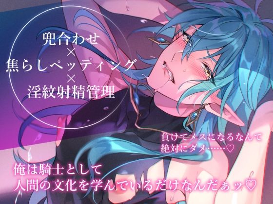 【小説】エルフ騎士様恥辱の御夜伽。絶倫ちんぽに雌伏せん