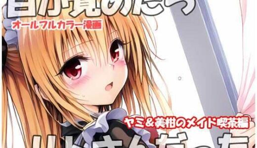 目が覚めたらリトさんだった ヤミ＆美柑のメイド喫茶編【sweet waffle】