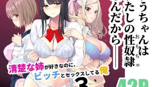 清楚な姉が好きなのに、ビッチとセックスしてる俺3【裏FMO】