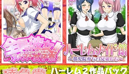 ハーレムシリーズ2作品パック【達急堂】