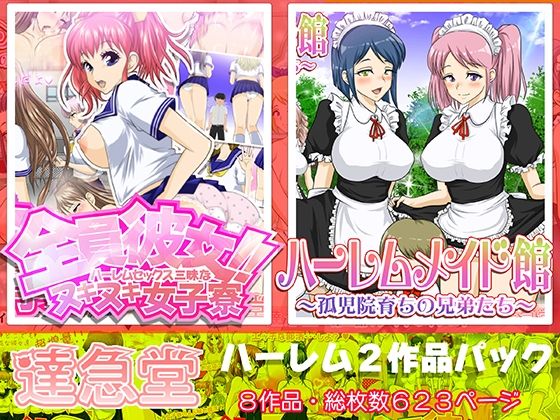 ハーレムシリーズ2作品パック【達急堂】