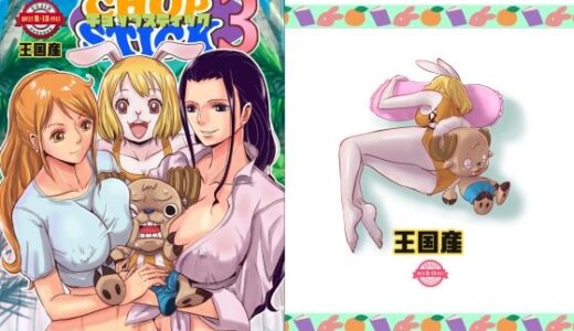 CHOP STICK3【王国産】