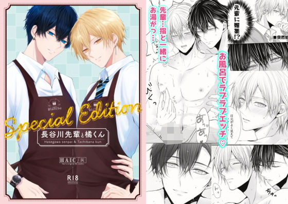 長谷川先輩と橘くん「〜Special Edition〜」【HAIC】