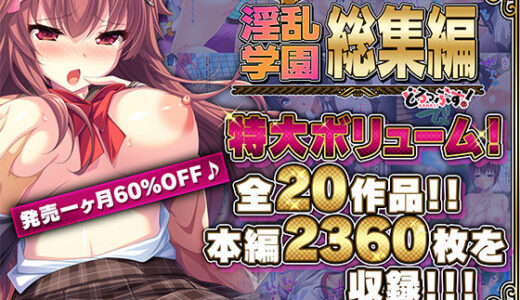【超豪華版】淫乱学園 総集編【どろっぷす！】【どろっぷす！】