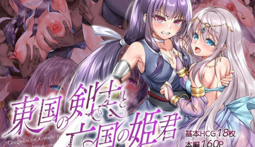 東国の剣士と亡国の姫君【傾世遊庵】